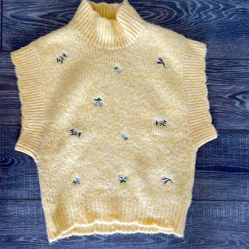 Zara knit short sleeve sweater/ sweater vest